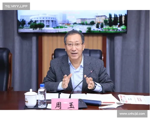 以塞帕为中心的战略布局探索与国际合作模式分析 以塞帕为中心的战略布局探索与国际合作模式分析