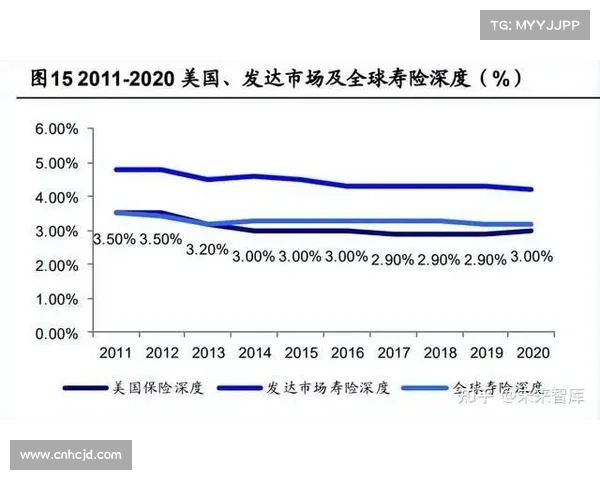 日本职业足球联赛发展历程与未来展望分析 日本职业足球联赛发展历程与未来展望分析